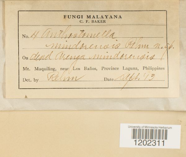 Anthostomella mindorensis image