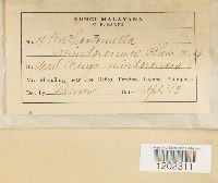 Image Associated With the Occurrence