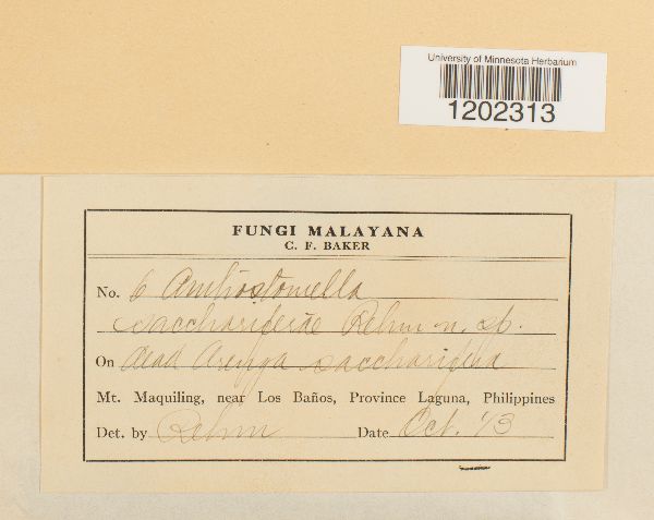 Anthostomella sacchariferae image