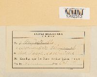 Image Associated With the Occurrence