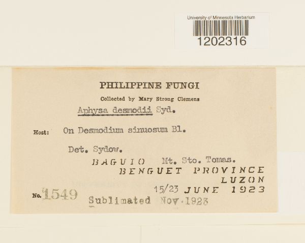 Aphysa desmodii image