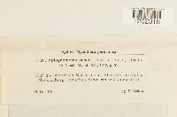 Image Associated With the Occurrence