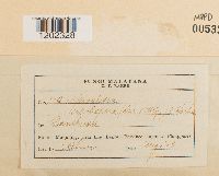 Image Associated With the Occurrence