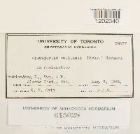 Image Associated With the Occurrence