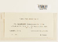 Image Associated With the Occurrence