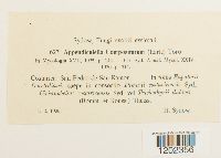 Image Associated With the Occurrence