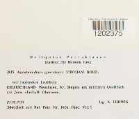 Image Associated With the Occurrence