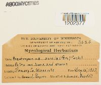 Image Associated With the Occurrence