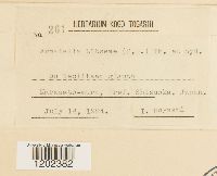 Image Associated With the Occurrence