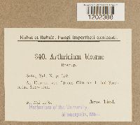 Image Associated With the Occurrence