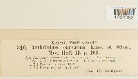 Image Associated With the Occurrence