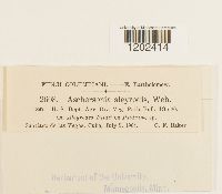 Image Associated With the Occurrence