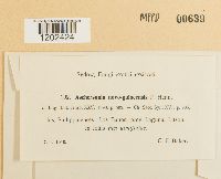 Image Associated With the Occurrence