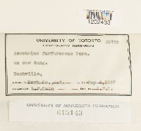 Image Associated With the Occurrence