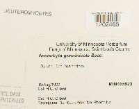 Media resource of Ascochyta graminicola