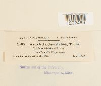 Image Associated With the Occurrence