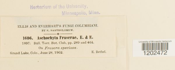 Ascochyta fraserae image