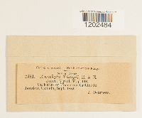 Image Associated With the Occurrence