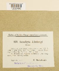 Image Associated With the Occurrence