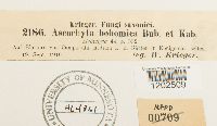 Image Associated With the Occurrence