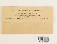 Image Associated With the Occurrence