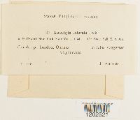 Image Associated With the Occurrence