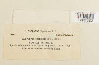 Image Associated With the Occurrence