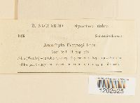 Image Associated With the Occurrence