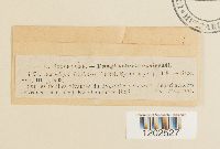 Image Associated With the Occurrence