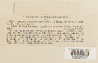 Image Associated With the Occurrence