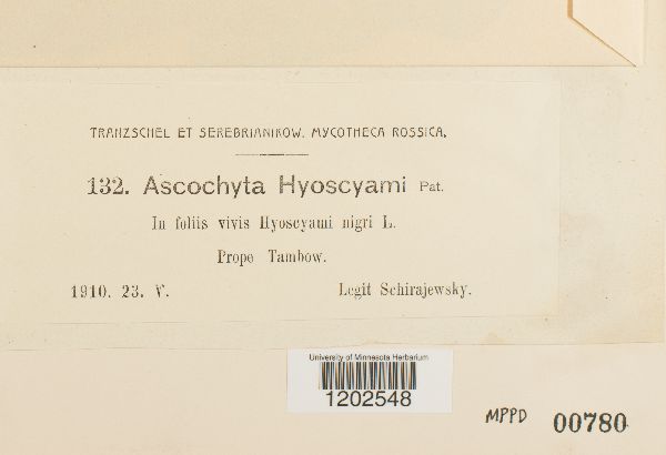 Ascochyta hyoscyami image