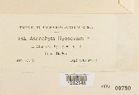 Image Associated With the Occurrence