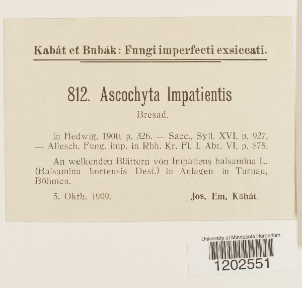 Ascochyta impatientis image