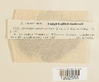 Image Associated With the Occurrence