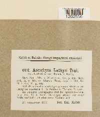 Image Associated With the Occurrence