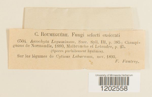 Ascochyta leguminum image