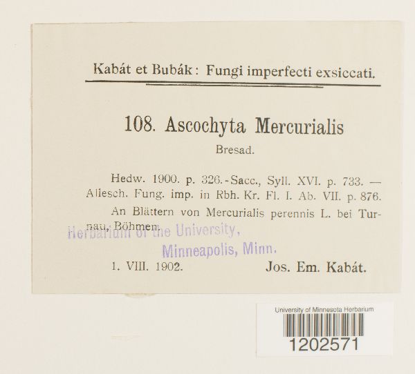 Ascochyta mercurialis image