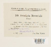 Image Associated With the Occurrence