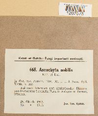 Image Associated With the Occurrence