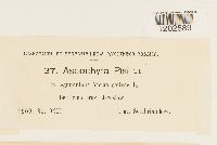 Image Associated With the Occurrence