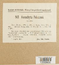 Image Associated With the Occurrence