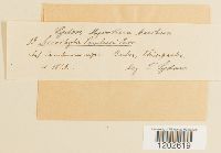 Image Associated With the Occurrence