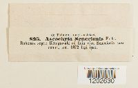 Image Associated With the Occurrence