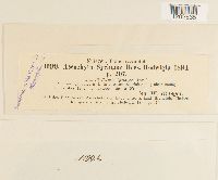 Image Associated With the Occurrence