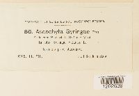 Image Associated With the Occurrence