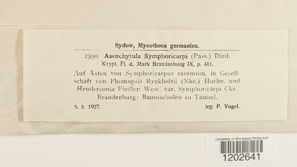 Ascochyta tenerrima image