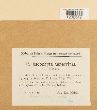 Image Associated With the Occurrence