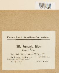 Image Associated With the Occurrence