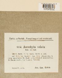 Image Associated With the Occurrence