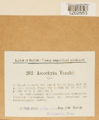 Image Associated With the Occurrence